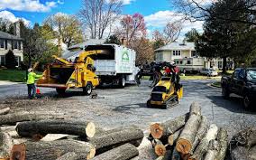 Best Leaf Removal  in Olivet, TN