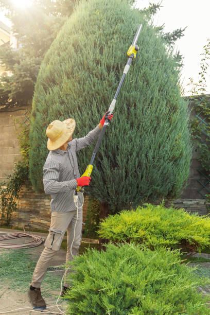 Best Artificial Turf Installation  in Olivet, TN